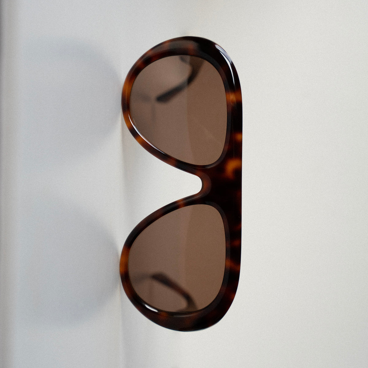 FLORENCE TORTOISE