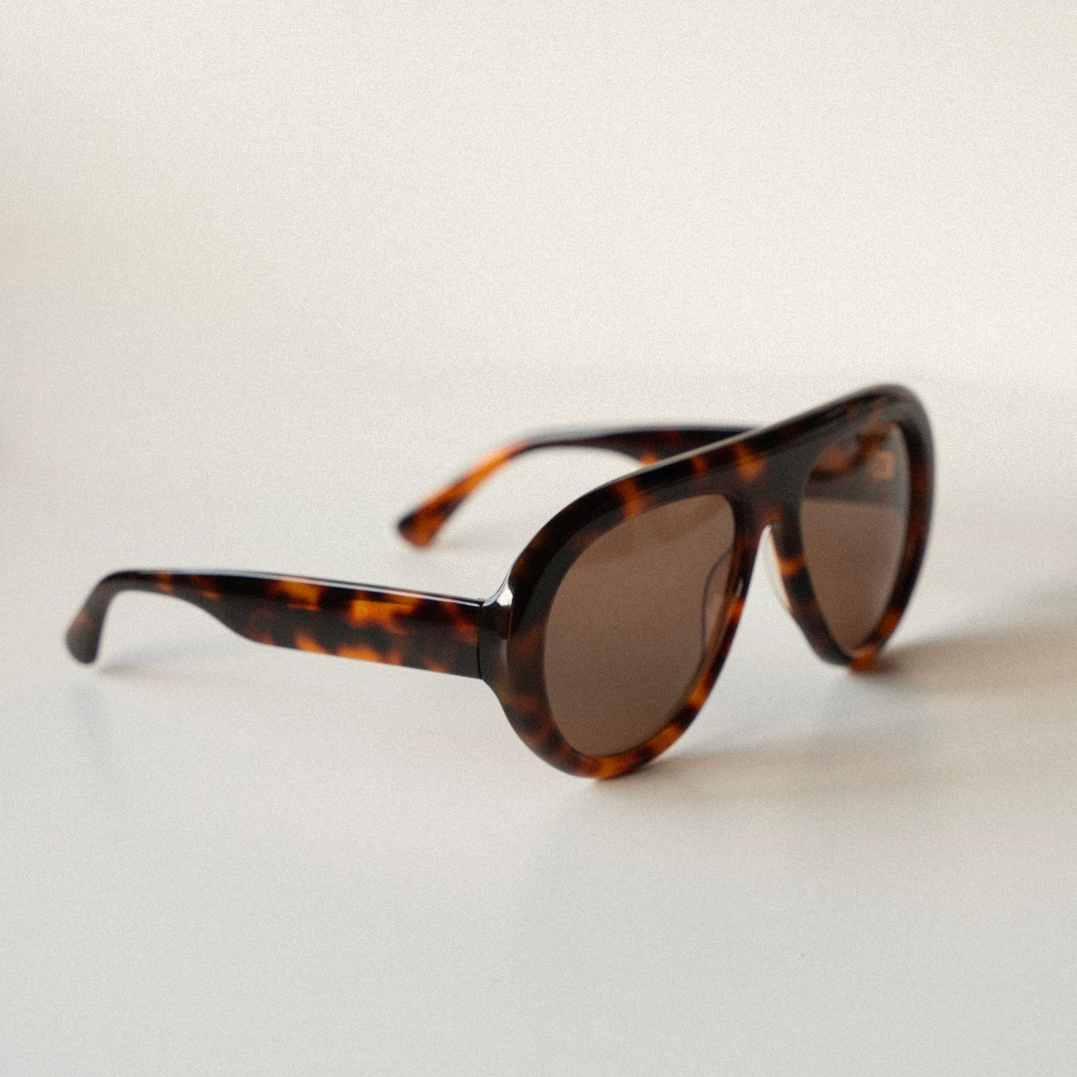 Florence Tortoise