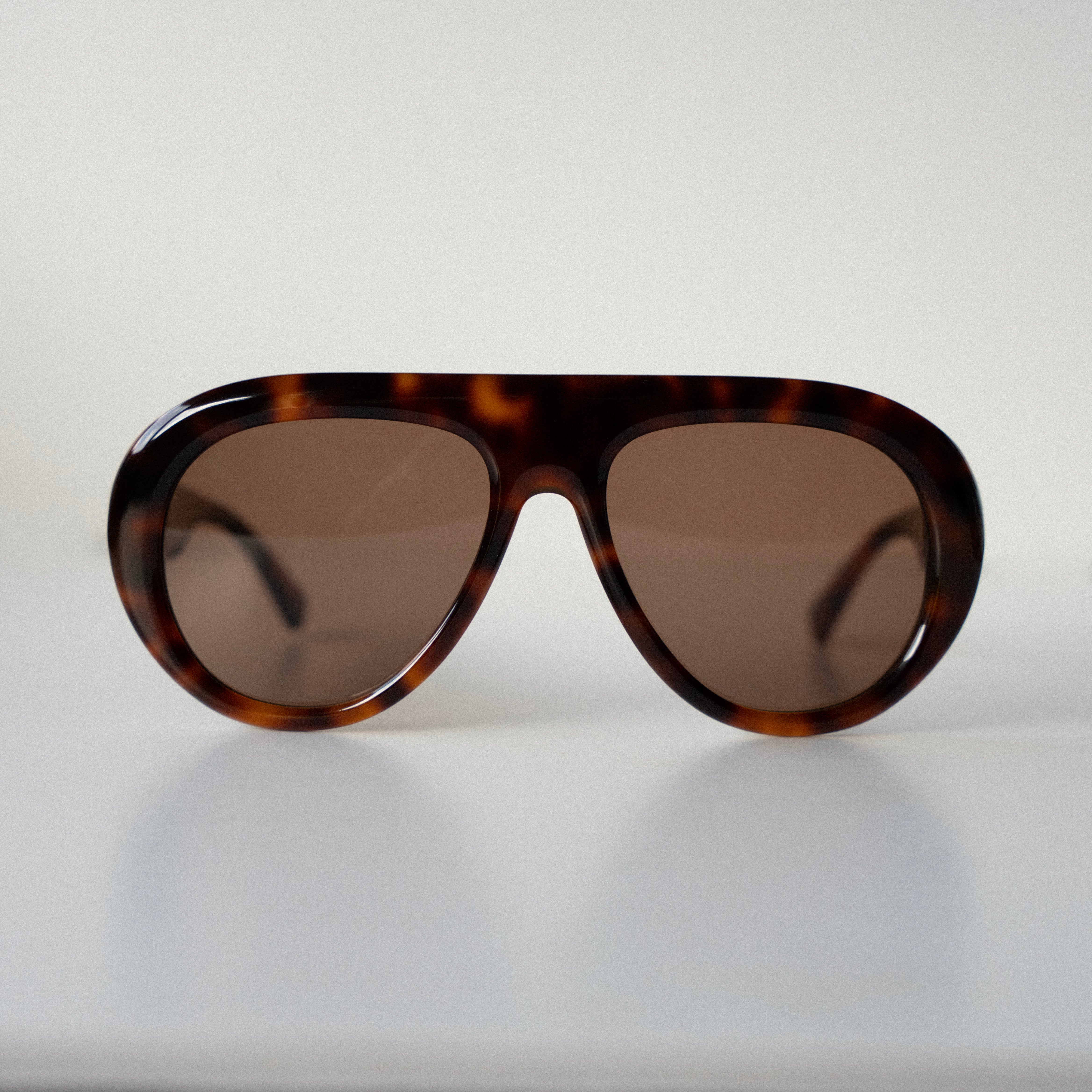 Florence Tortoise