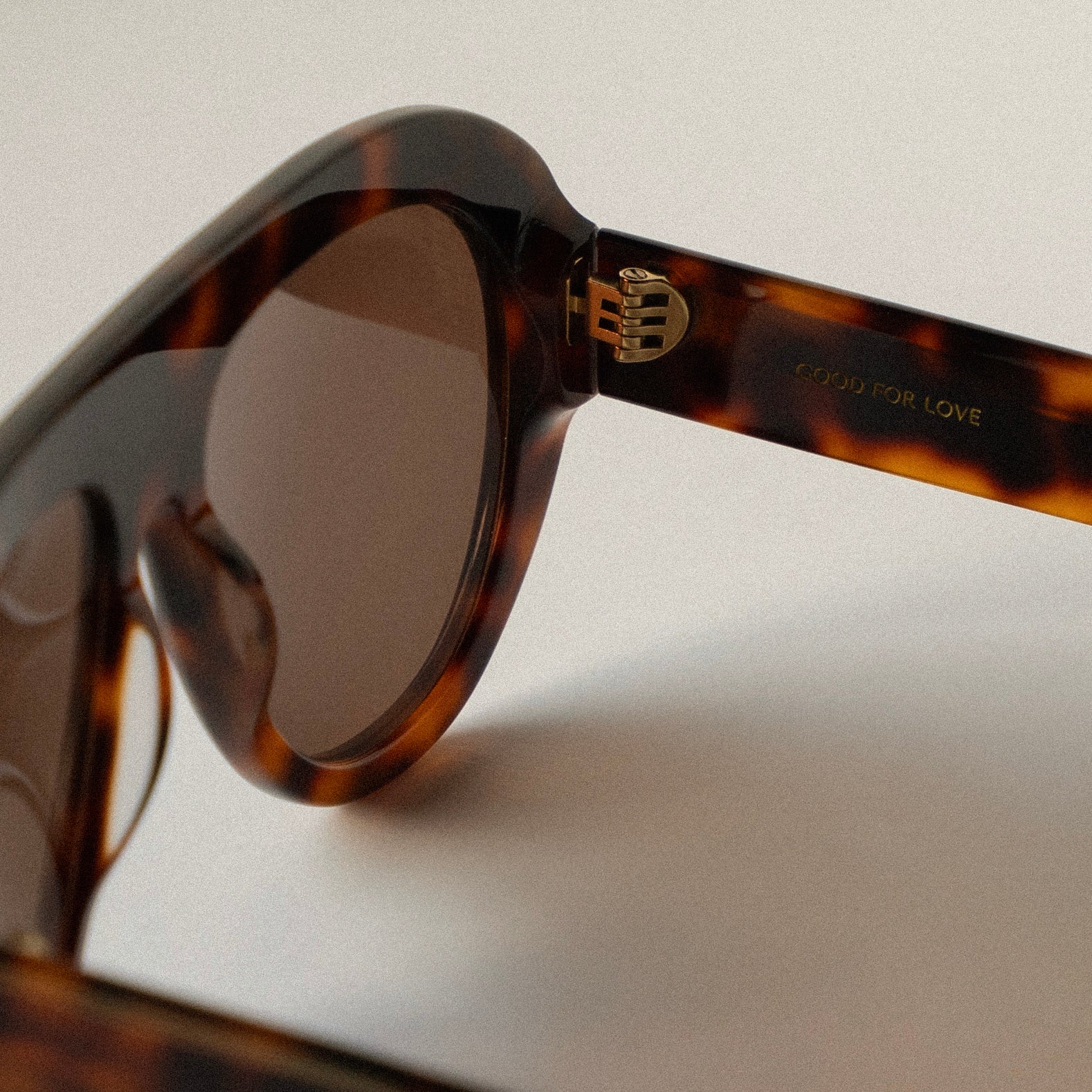 Florence Tortoise