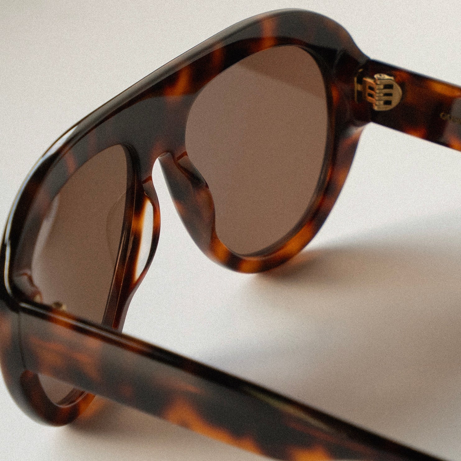 Florence Tortoise