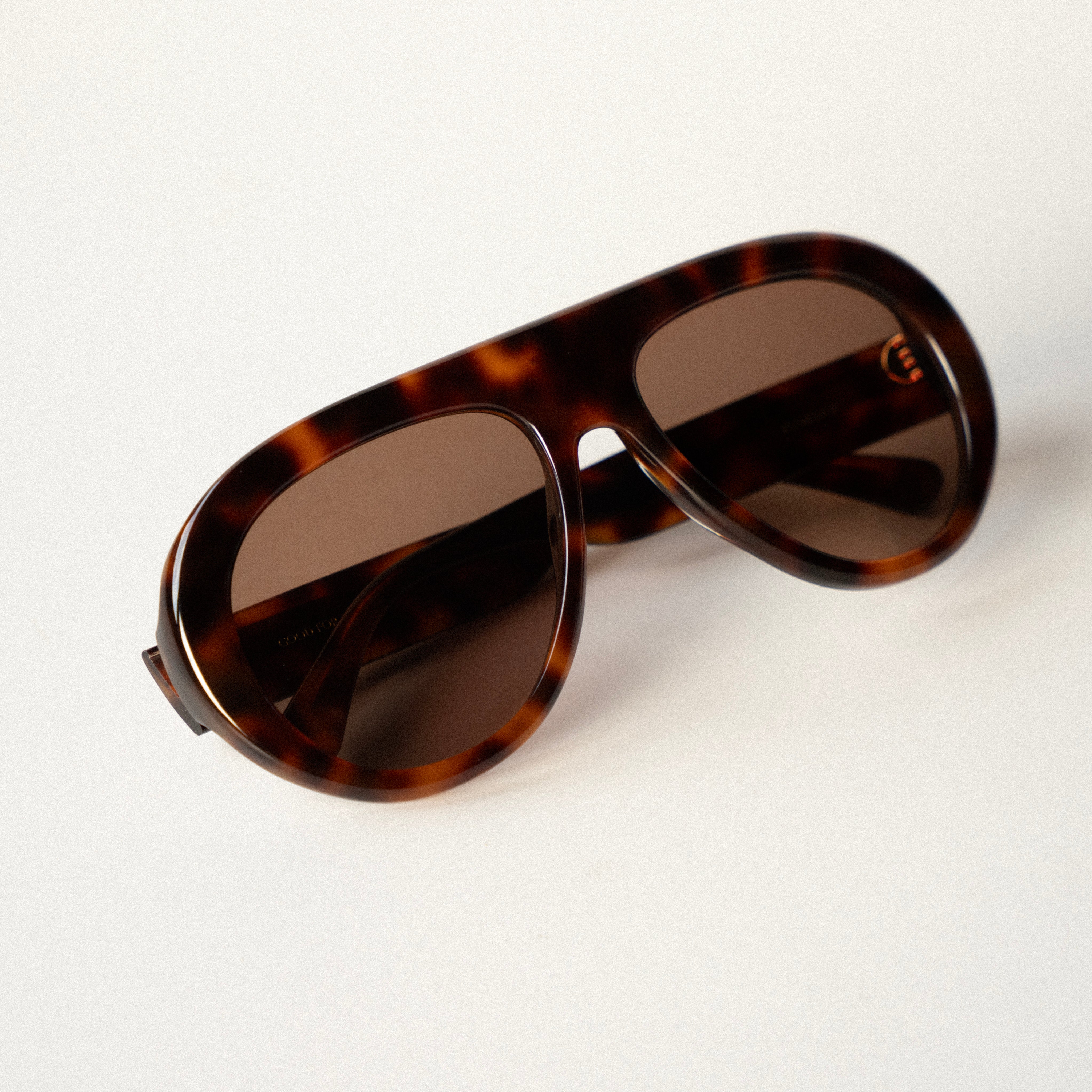 Florence Tortoise