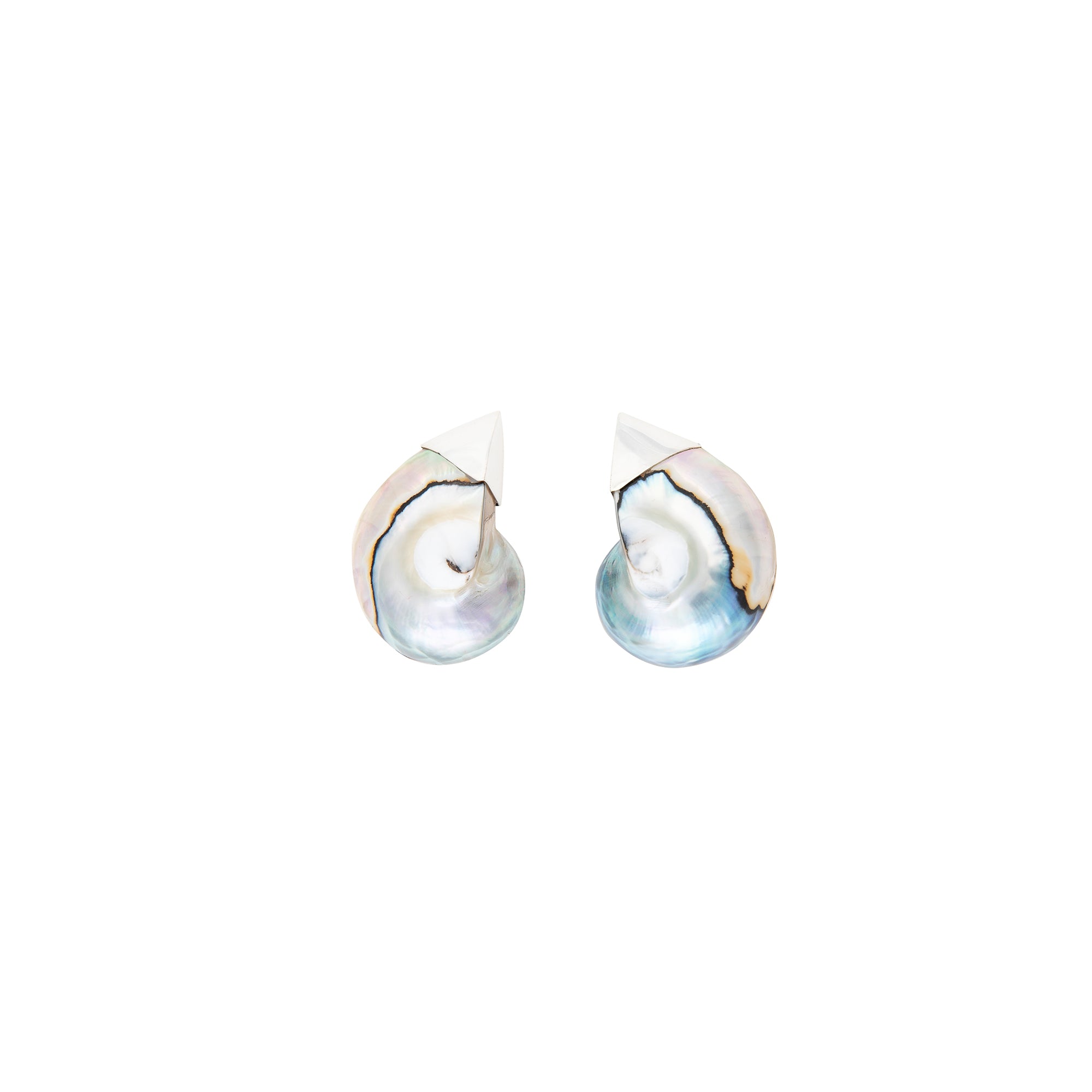 Blue Nautilus Earring
