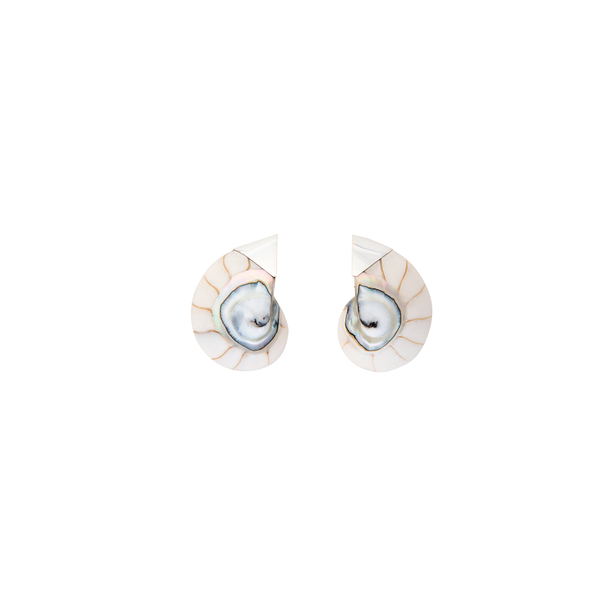 White Nautilus Earring